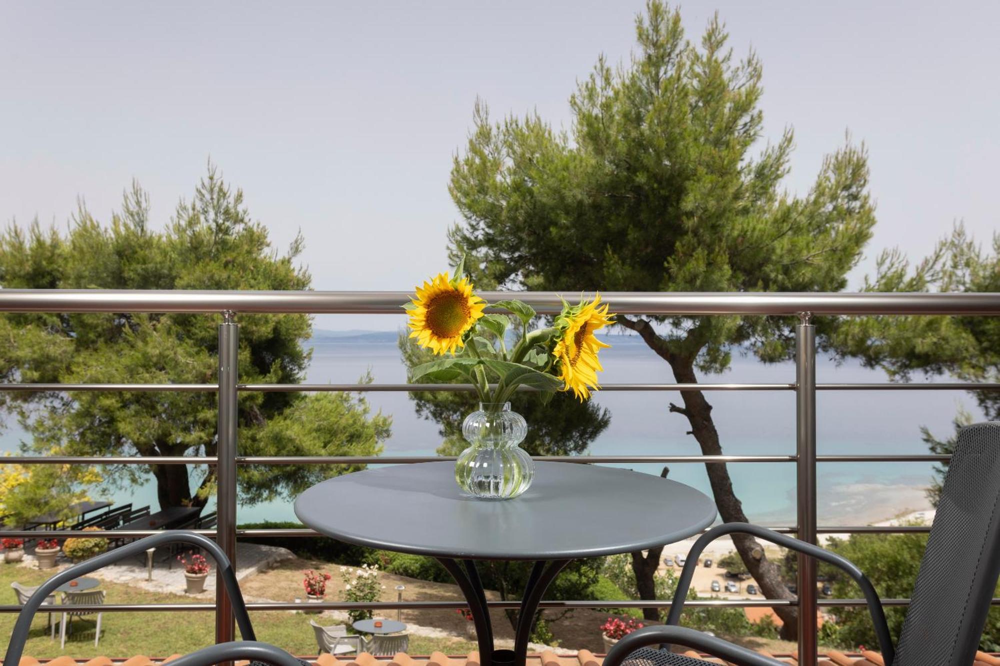 Sea View Apollo Apartments & Studios In Афитос Экстерьер фото